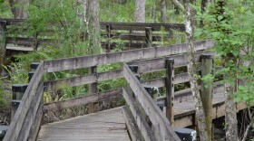 The boardwalk at Six Mile Slough will be closed temporarily for maintenance.