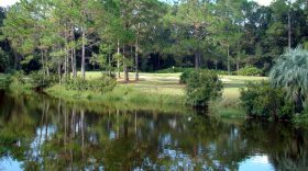 Gainesville city officials say there is interest in the sale of Ironwood Golf Course. Photo Laura Peavler/WUFT News