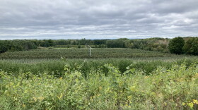 Two frost fans stand in a field of apple trees Sept. 28 at King Orchards.