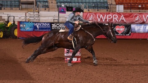 Laura Gardner maneuvers a brown horse around a barrel in a rodeo arena. Gardner is wearing jeans, a silver shirt, and a black cowboy hat. There are no spectators in the seats.