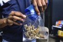 FILE - A vendor bags psilocybin mushrooms at a cannabis marketplace on May 24, 2019 in Los Angeles. Lawmakers throughout the United States are weighing proposals to legalize psychedelic mushrooms for people. They say alarming suicide rates and a shortage of traditional mental health practitioners has led them to consider research into alternative treatments for depression and anxiety, including so-called magic mushrooms.