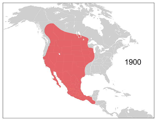 This map shows the coyote's range expansion across North America by decade from 1900–2016.