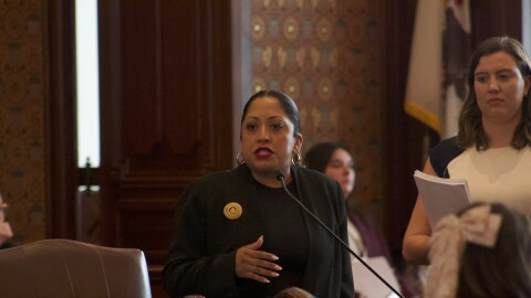 A woman speaks on the floor of the Illinois Senate