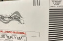 A vendor's mailing mix-up sent to the wrong vote-by-mail ballots to about 350 voters in northern Volusia County.