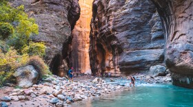 Hikers can be seen traversing through The Narrows at Zion National Park.
