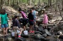 Children armed with dip nets scour Porter Branch Creek in the McDowell Nature Preserve.