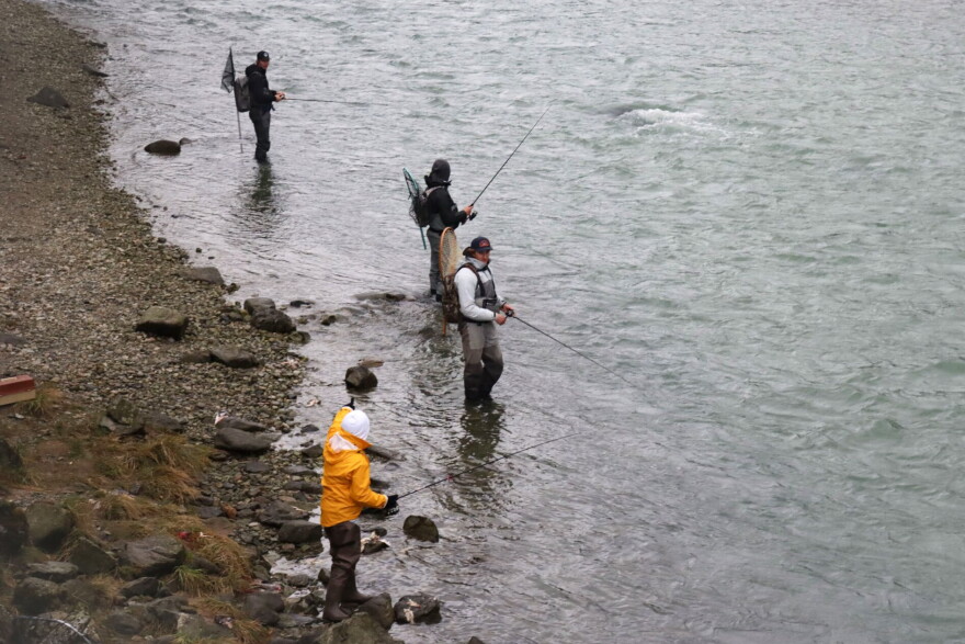 People resume fishing in the Chilkoot River after a family of brown bears stopped to feed in the area.