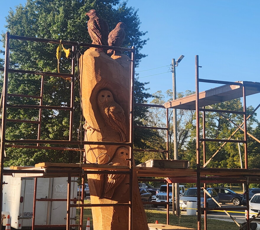 Barred owls peek out from a tree stump in an artwork being created by Louis Medlock at Phelps Grove Park in Springfield, Mo. (Photo taken October 9, 2026)