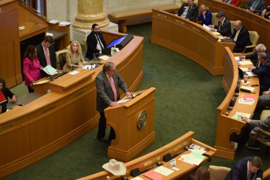 Rep. Lane Jean, R-Magnolia, addresses the Arkansas House of Representatives on Wednesday, May 1, 2024.
