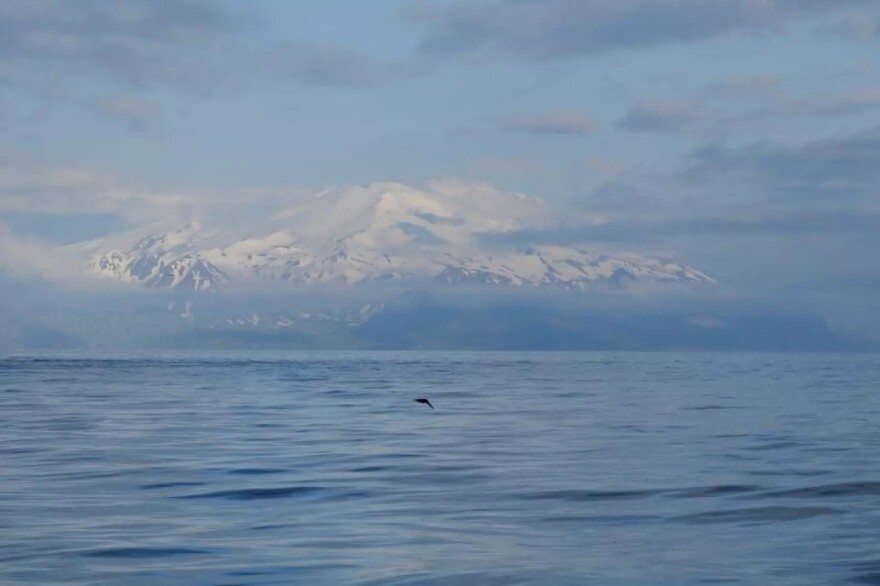 East flank of Takawangha on June 10, 2021. (Loewen, M. W./Alaska Volcano Observatory/U.S. Geological Survey)