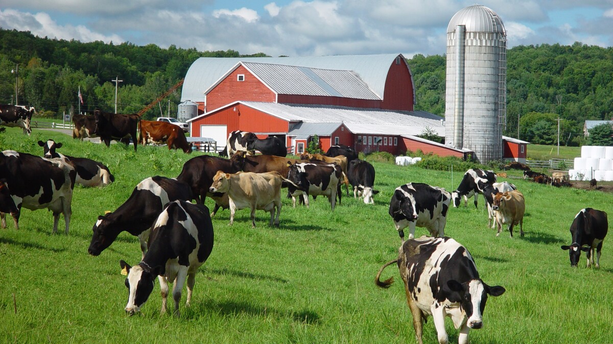 What do Vermont dairy plant closures tell us about the industry?