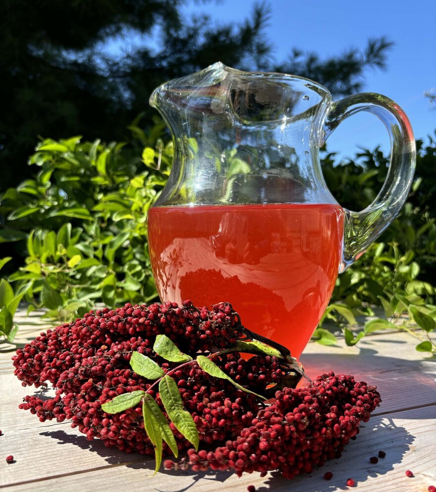 bright red liquid in a glass pitcher with clusters of deep red seeds or berries in the foreground. blue skies and trees in background