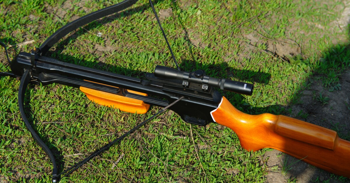 Illinois House Approves Bill Allowing Hunters To Use Crossbows