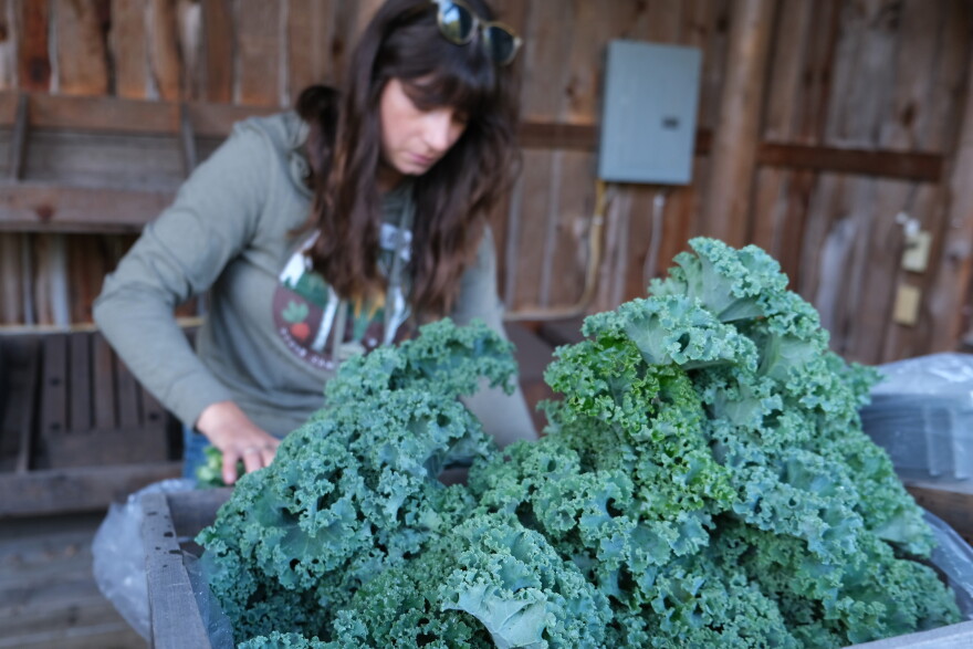 The Moody Root Farm Stand off County A between Sugar Camp and Three Lakes is open Fridays from 9:00 a.m. to 1:00 p.m. during the growing season.