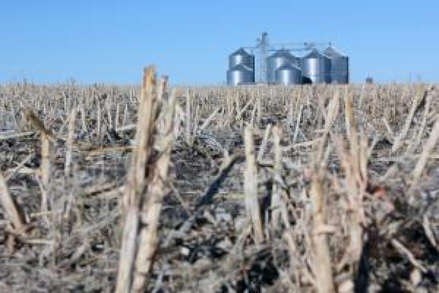 Grain bins sit on the edge of a harvested corn field in western Kansas.