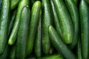 Cucumber Raw fruit and vegetable backgrounds overhead perspective, part of a set collection of healthy organic fresh produce