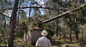 Just some of the devastation wrought by Hurricane Michael on North Florida's forests.