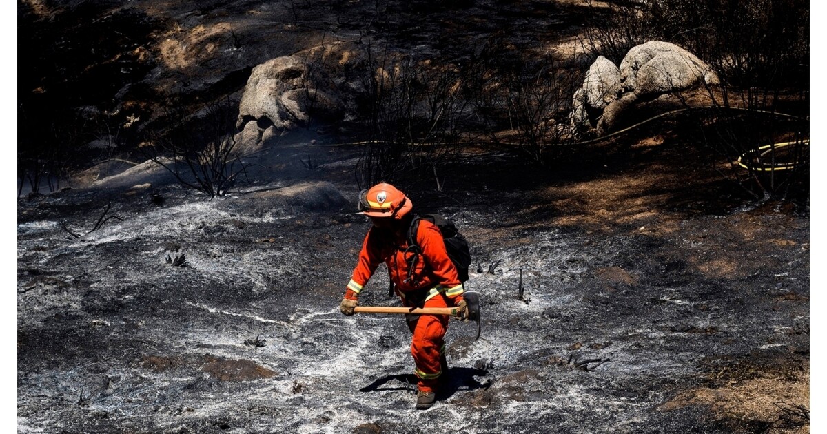 Given The Choice Between Prison Life And Fighting Wildfires, These ...