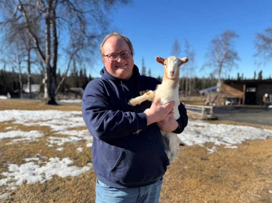 Jim Vinyard, a livestock researcher with UAF's Agricultural and Forestry Experiment Station, holds a baby goat on a Kenai-area farm.