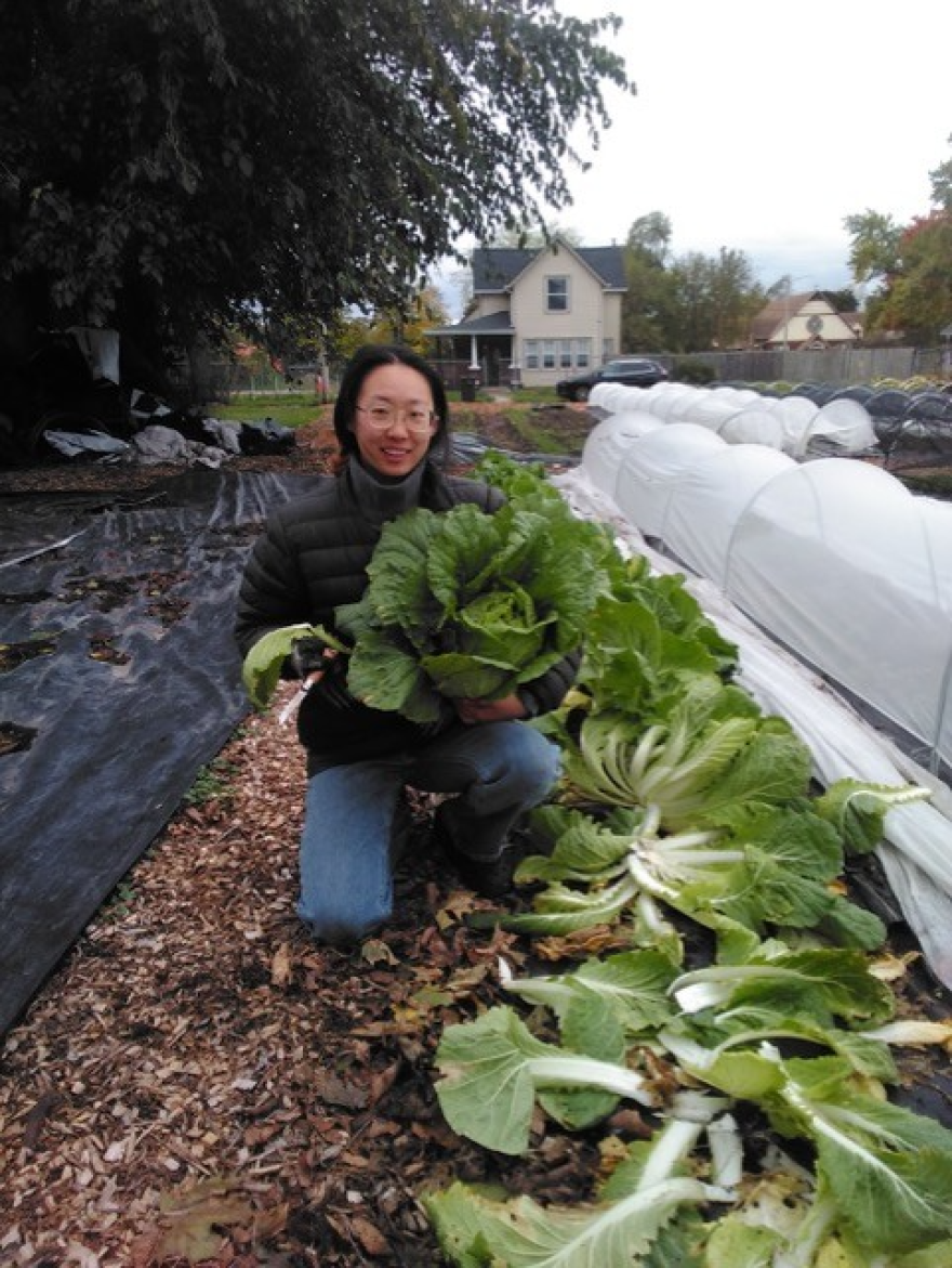 All photos courtesy of Sunchoke Farms; all rights reserved.