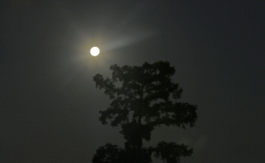 Fishing camps in Akers, La., June 23