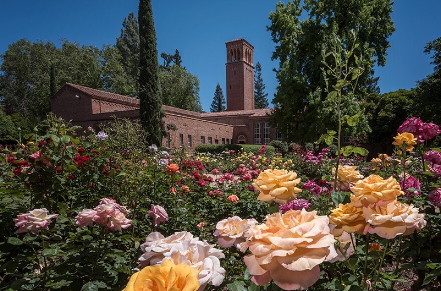 Trinity Hall - Chico State