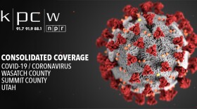 Image showing rendering of COVID-19 Virus