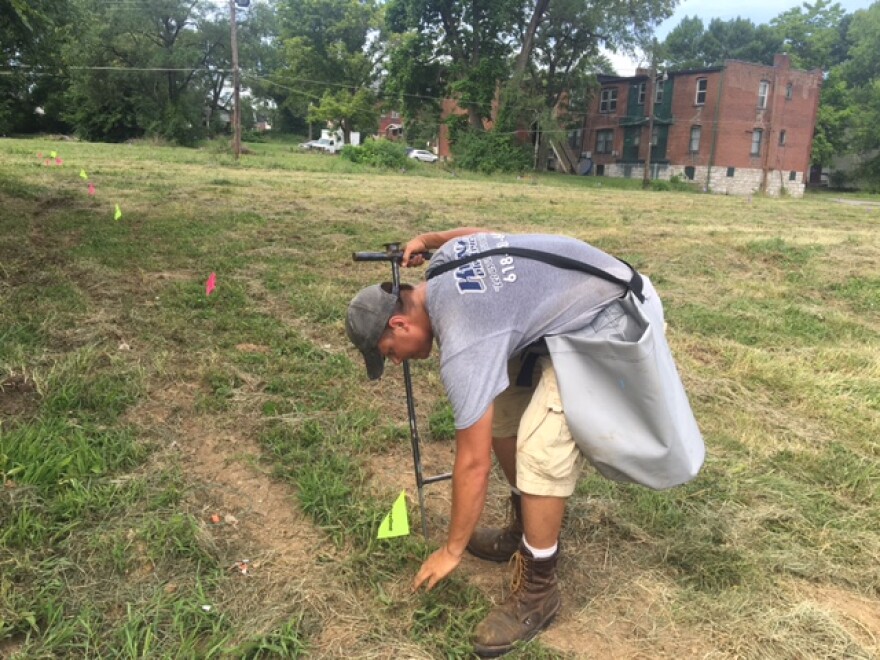 A crew member with Matt's Health Woods & Wildlife plants hybrid poplar trees in the Wells-Goodfellow neighborhood of St. Louis. Fresh Coast Capital is leasing 42 parcels from the city for an urban tree farm. July 13, 2016