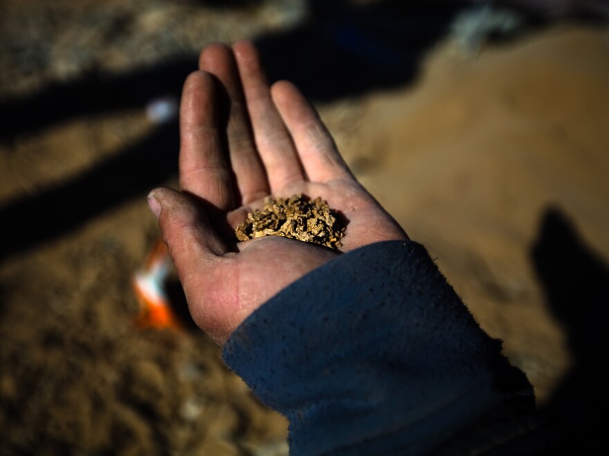 Some Mongolians are striking out on their own. This kind of mining is technically illegal, but many Mongolians do it in order to supplement their incomes. A prospector in the South Gobi shows off the results of two days of labor — a good-sized palmful of pure gold nuggets.