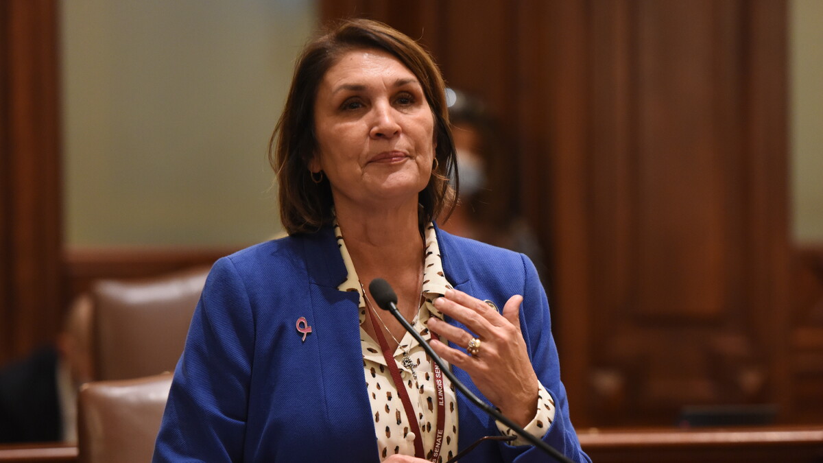 Why Sen. Sally Turner voted against the new state budget, despite liking parts of it - Vimarsana News