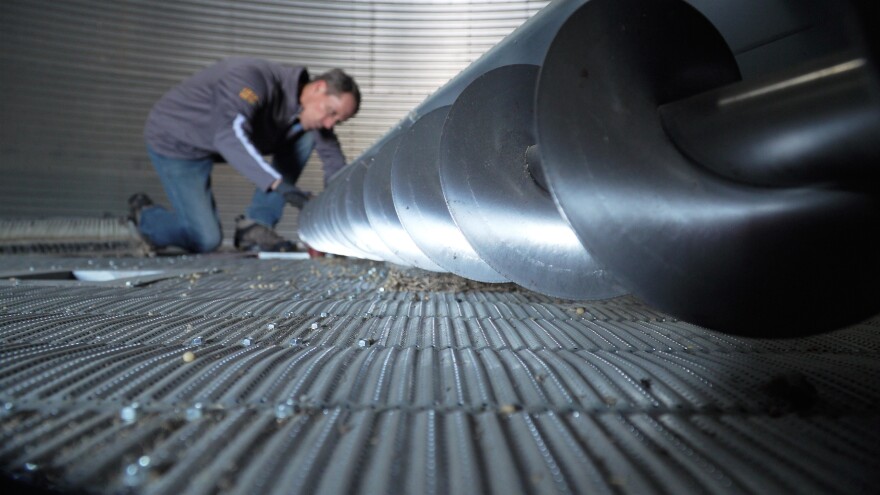 hetland_checking_grain_sweep.jpg