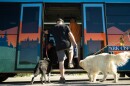 Park City Transit launched its dogs on buses pilot program Thursday, Jul. 10, 2025 as Parkites and pups hopped on board.