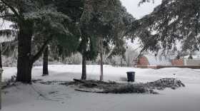 Tree limbs weighed down by ice and snow broke off and took down powerlines.