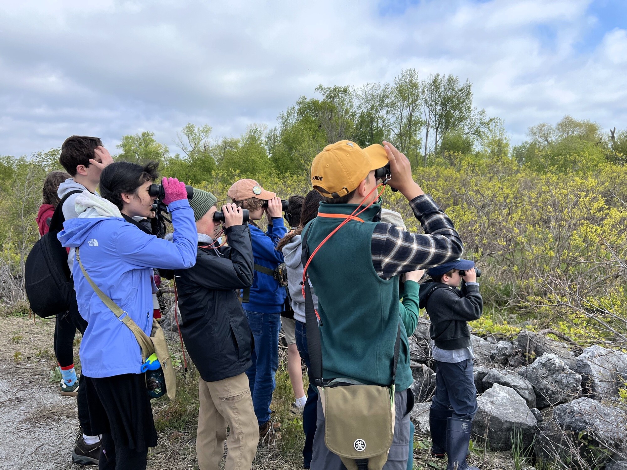 How Northwest Ohio came to be home to ‘The Biggest Week in American Birding’ episode artwork