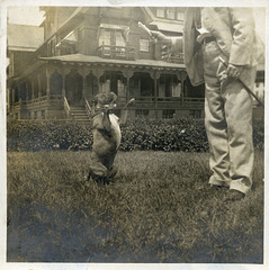 Changing the Code What Makes a Dog "Vicious?" Iowa Public Radio