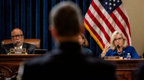 Committee Chair Rep. Bennie Thompson(D-MS), listens as member Rep. Liz Cheney(R-WY), questions Officer Michael Fanone of the Washington Metro Police Department during the Select Committee investigation of the January 6, 2021, attack on the US Capitol, during their first hearing on Capitol Hill in Washington, DC.
