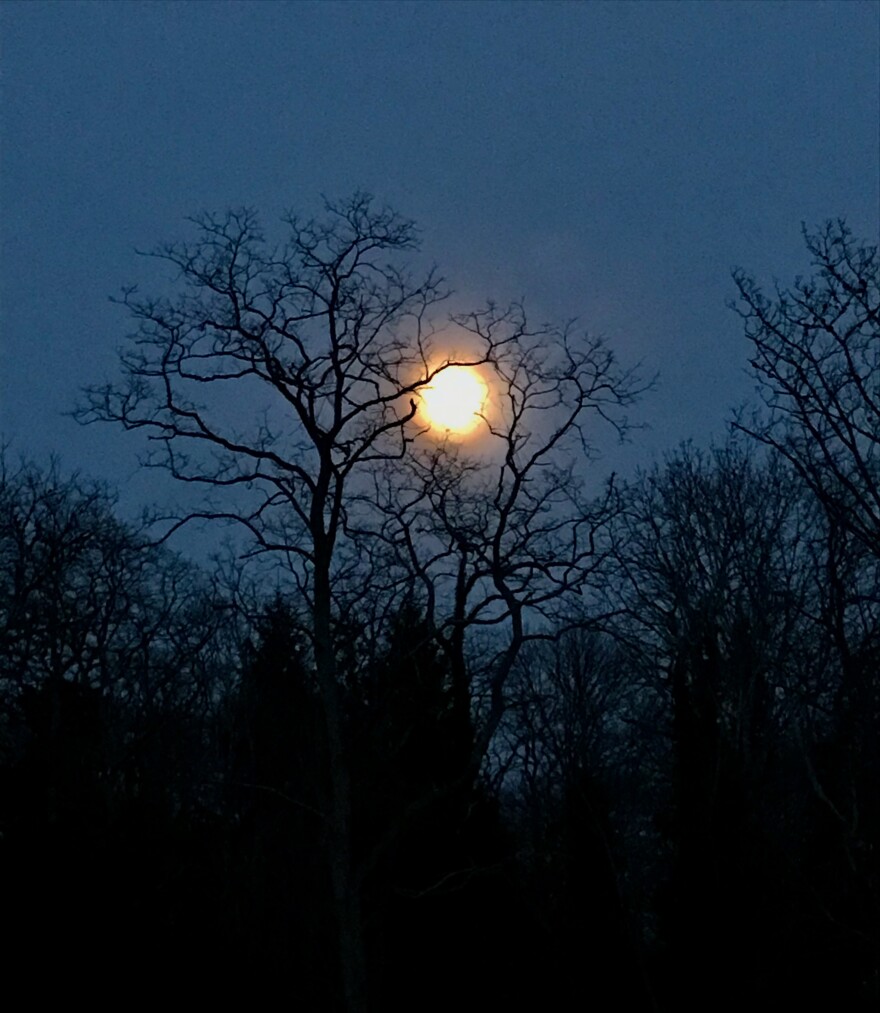 IMG_3355.jpeg