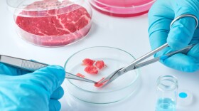 The U.S. lab-grown meat market was about $568 million in 2024 and is projected to grow to more than $10 billion by 2034 as the technology scales. 