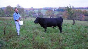 Farmer Ken Jaffe on the grounds of his Slope Farms in Meredith, NY. Before his life as a butcher in the Western Catskills, Jaffe spent 25 years as a family doctor in Park Slope, Brooklyn. (Ully Kjarval / Chefs for the Marcellus)