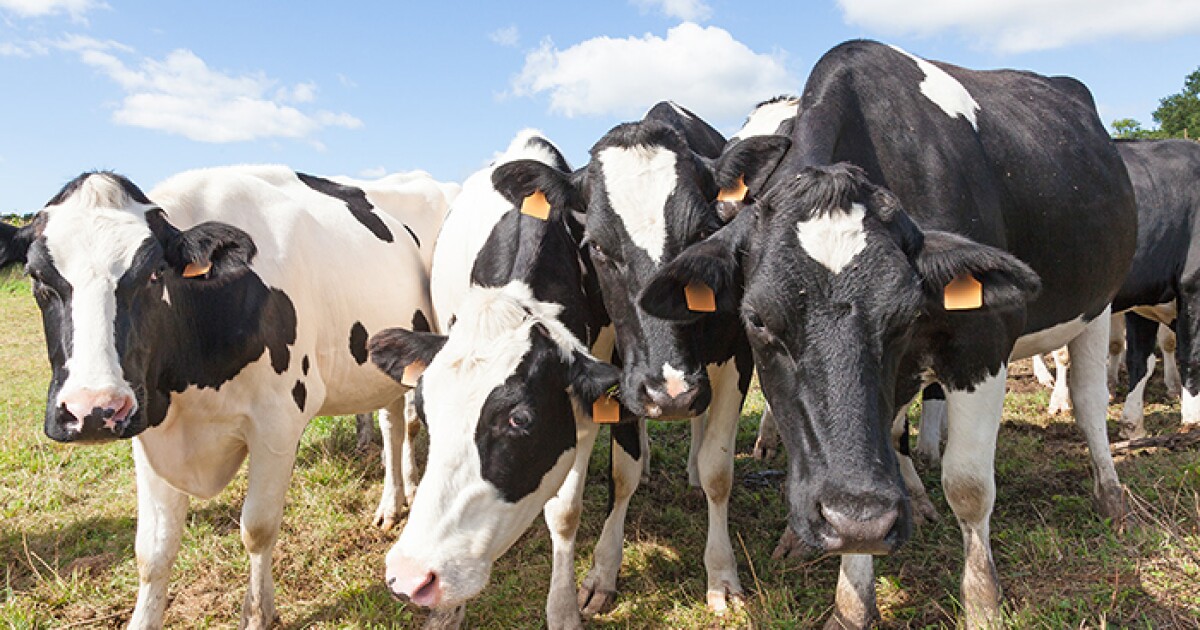 'A balancing act': Oklahoma lawmakers consider relaxing restrictions of raw milk sales