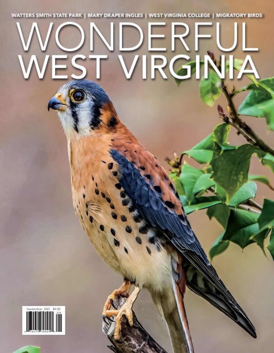 wonderful wv.jpg