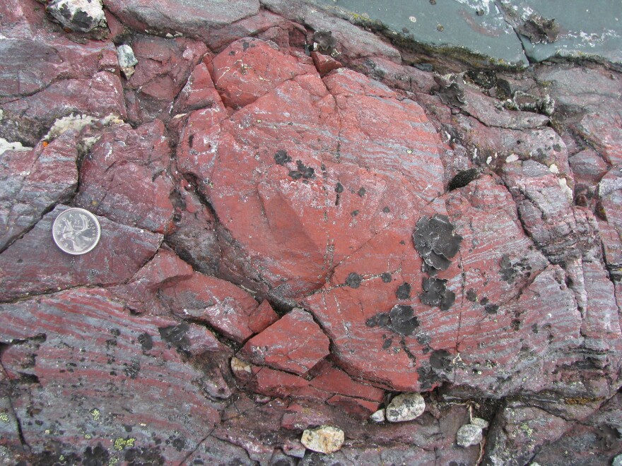 A layer of rock from the Nuvvuagittuq Supracrustal Belt, Québec in Canada, contains string-like shapes that could be the remains of life forms from 3.7 billion years ago.