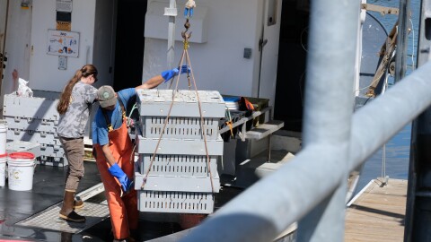 Lobsters are unloaded from the Julie Ann III boat at the new Peirce Island commercial fishing pier.