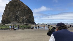 Volunteer Art Broszeit peers through a high powered scope trained on Haystack Rock, where the tufted puffins nest for the summer.