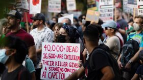 Demonstrators protest outside of the Democratic National Convention (DNC) in Chicago, Illinois.