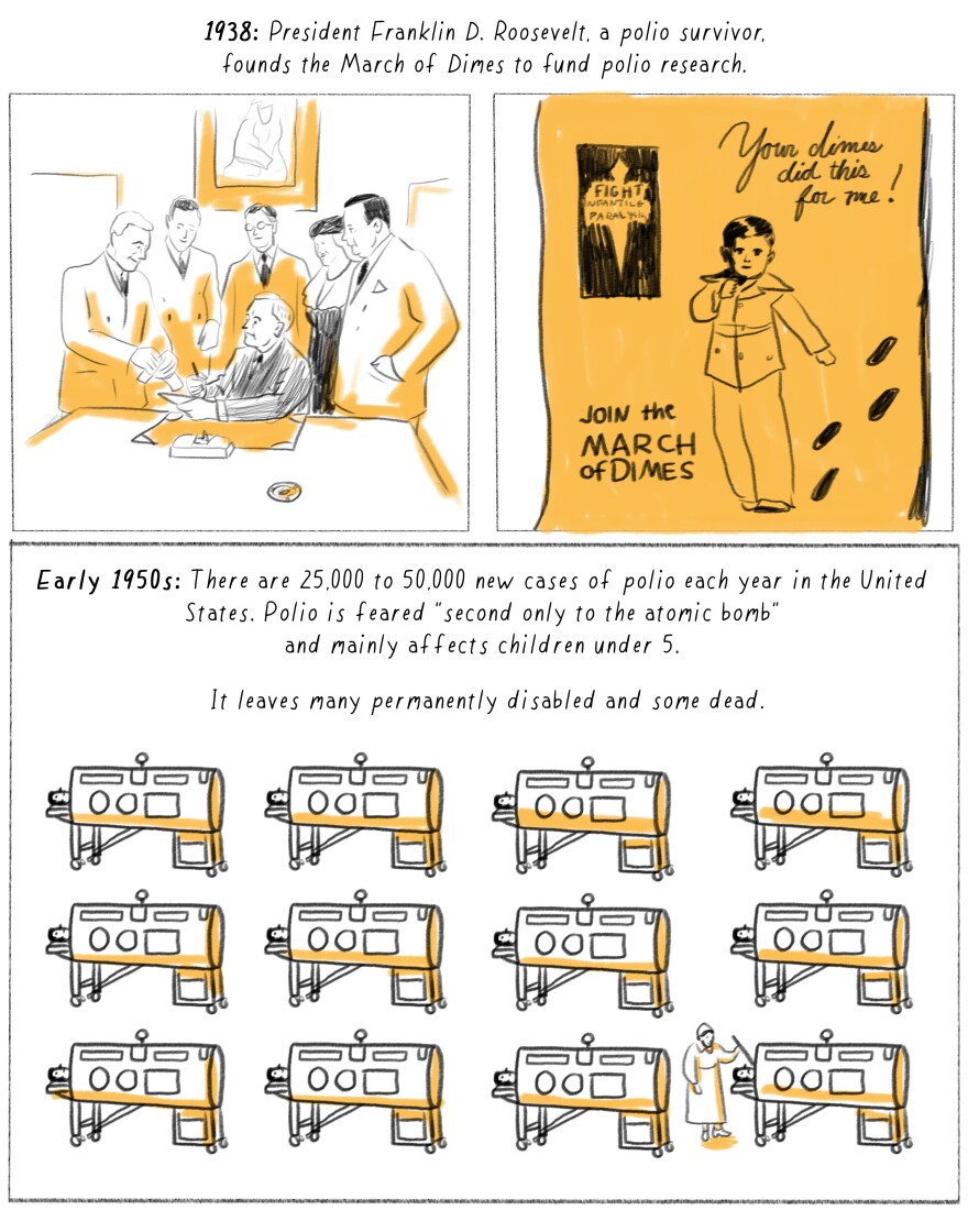 <strong>1938: </strong>President Franklin D. Roosevelt, a polio survivor, founds the March of Dimes to fund polio research.<strong>Early 1950s: </strong>There are 25,000 to 50,000 new cases of polio each year in the United States. Polio is feared "second only to the atomic bomb" and mainly affects children under 5.It leaves many permanently disabled and some dead.