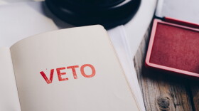 Governor Gretchen Whitmer issued 147 line-item vetoes to the budget sent to her by the Republican-controlled state Legislature. 