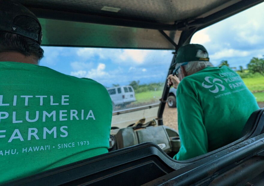 Jim Little, right, drives around his plumeria farm with his family in Haleʻiwa, Oʻahu.