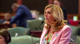 State Rep. Terra Costa Howard, D-Glen Ellyn, is calling for stronger homeschool laws following reporting about the state’s lax oversight. She’s pictured in a file photo on the House floor.