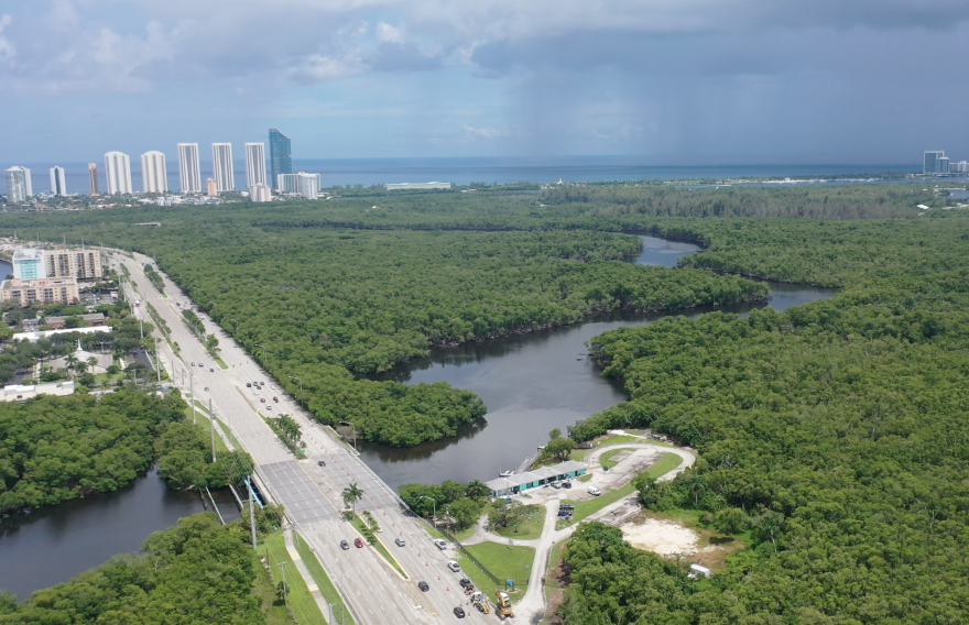  The Oleta River is the only river not dredged and stripped of mangroves in Miami-Dade County. Miami City Commissioner Joe Carollo had proposed a ban on planting new mangroves at city parks.